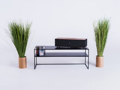 TV staliukas SENSO FLOWER METAL 170x45